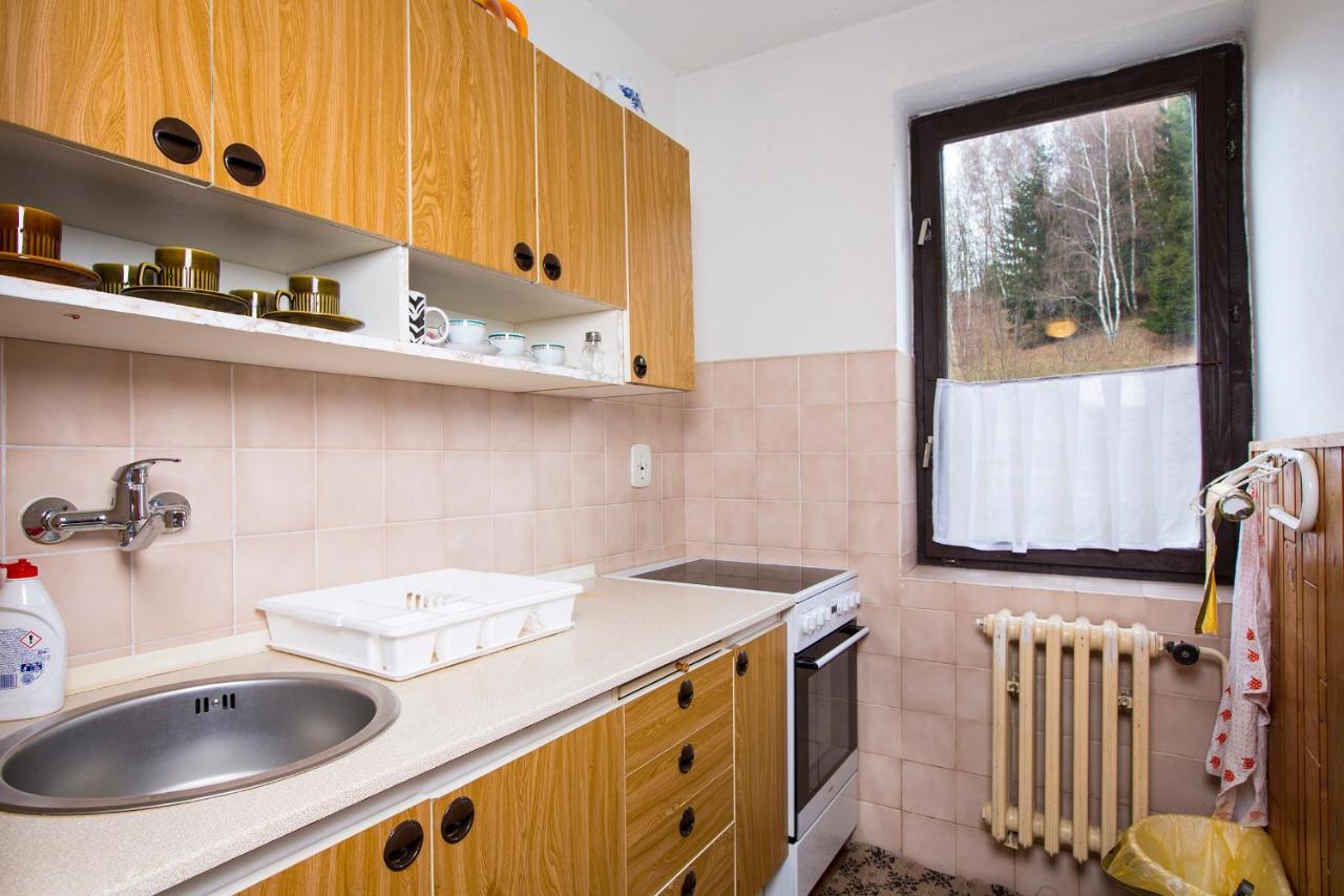 Apartman Braun Рокитнице над Ийзероу Екстериор снимка
